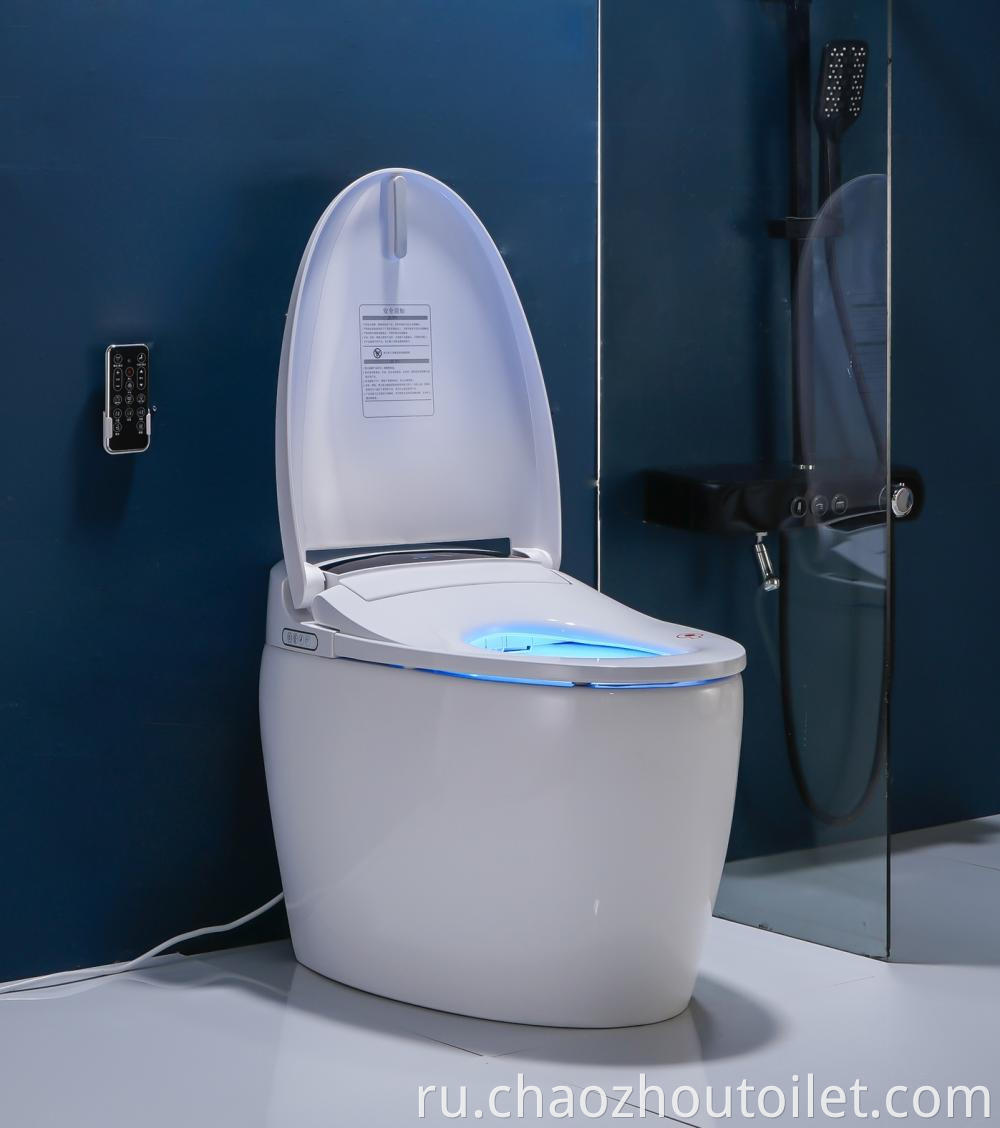 8102 2 Smart Toilet